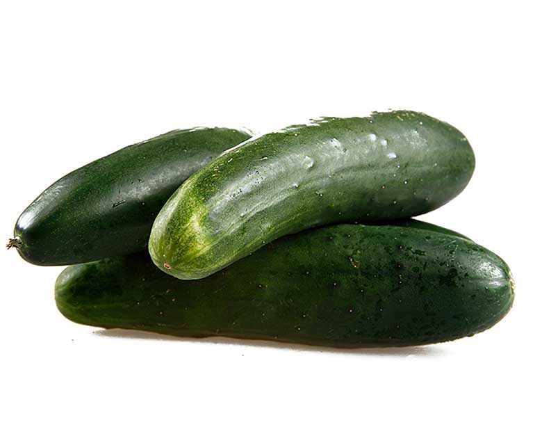 Cucumber