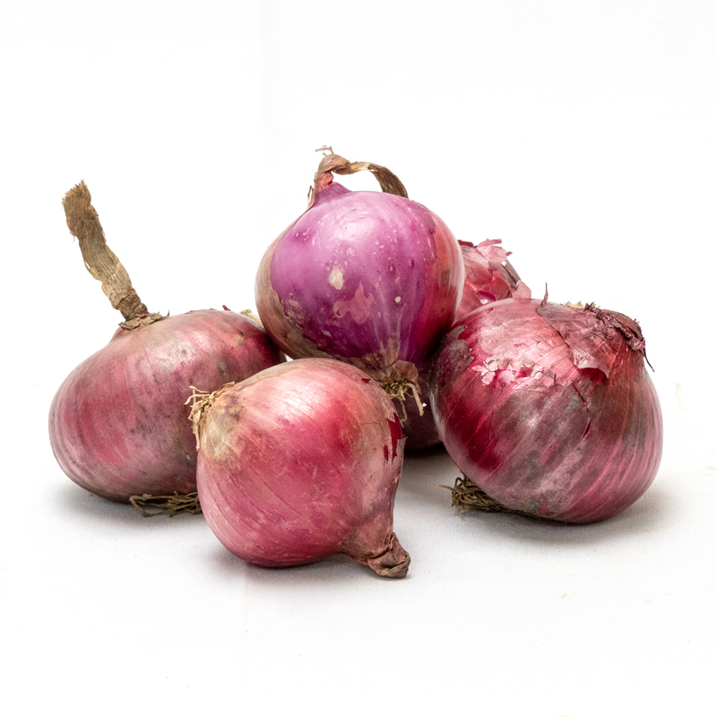 Onion Red