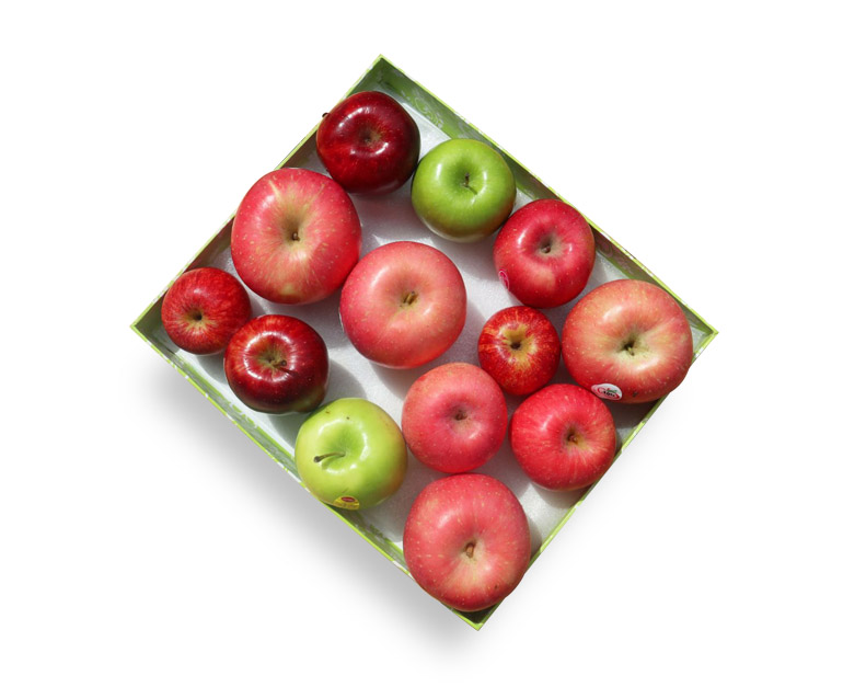 Bundle of Apples