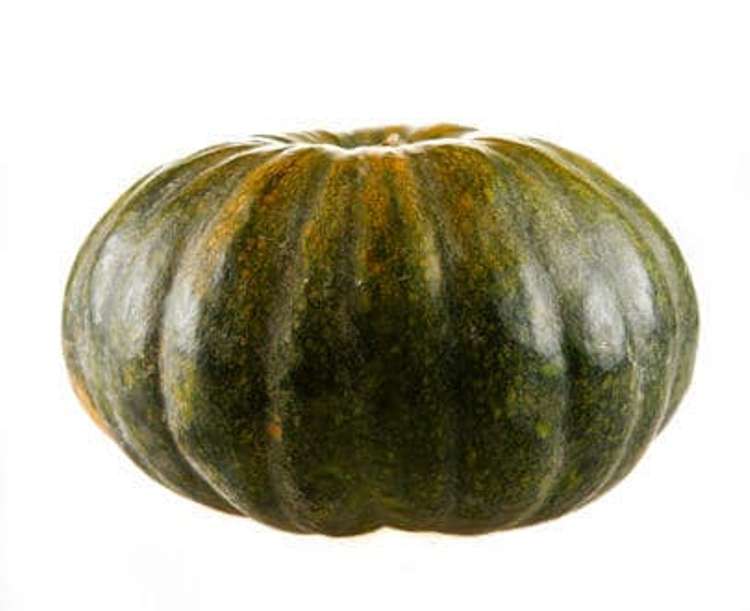 Squash